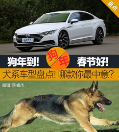 汽车能载多少狗狗